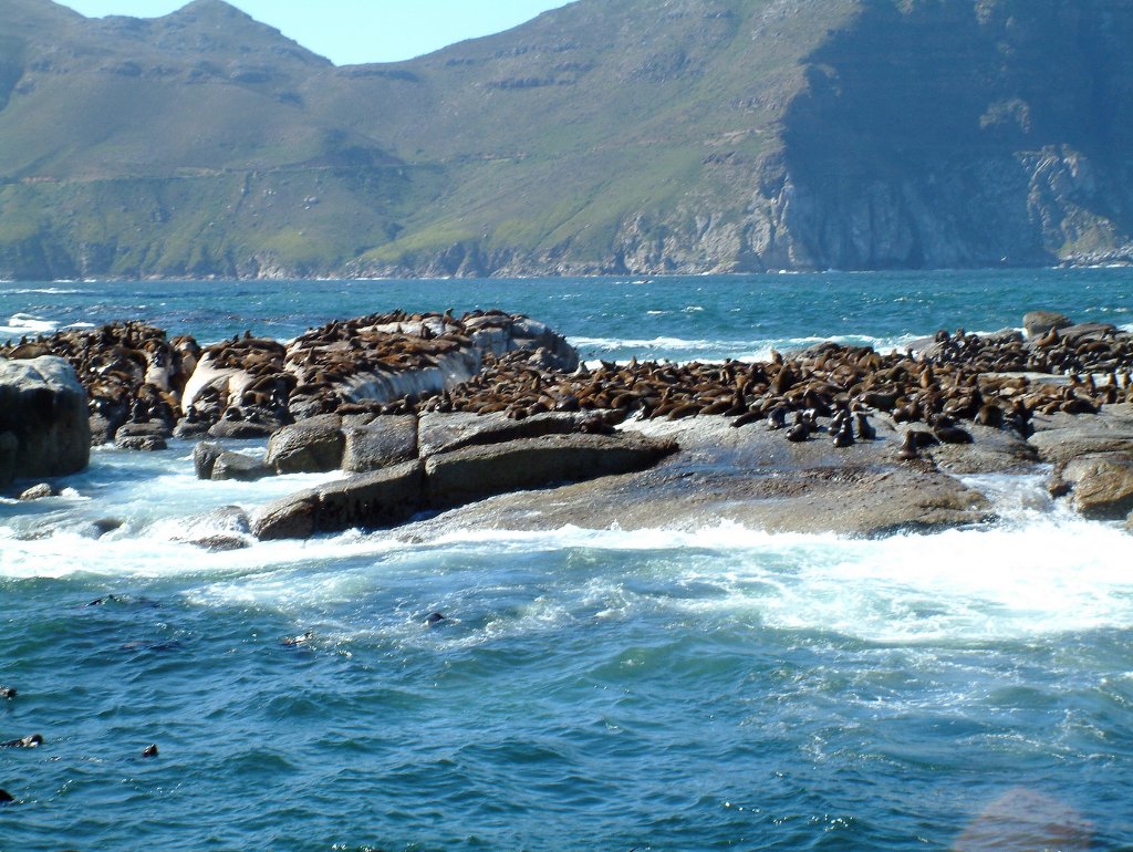 03-Robben island in front of the Hout Baai coast.jpg - Robben island in front of the Hout Baai coast